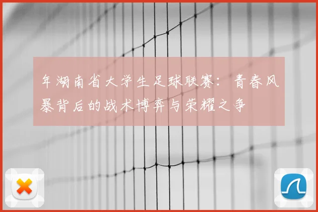 年湖南省大学生足球联赛：青春风暴背后的战术博弈与荣耀之争