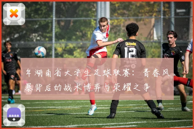 年湖南省大学生足球联赛：青春风暴背后的战术博弈与荣耀之争